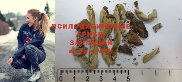 mdma Медвежьегорск