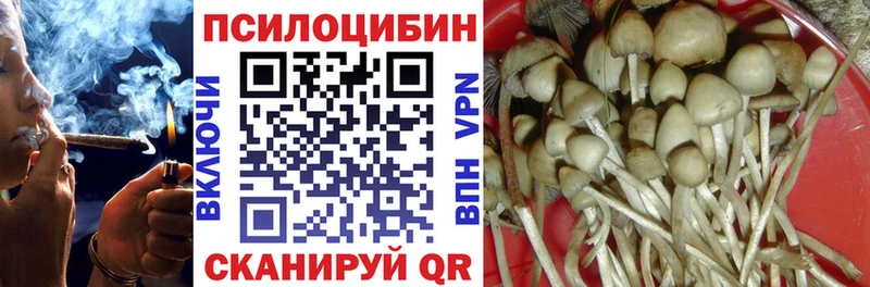 Купить  Спас-Клепики  Псилоцибиновые грибы ЛСД 