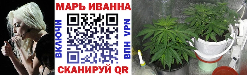 Купить закладки  Спас-Клепики  Бошки Шишки сатива 